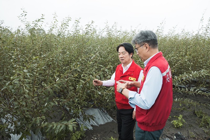 賴清德到宜蘭視察農損 農業部允宜蘭全品項現金救助