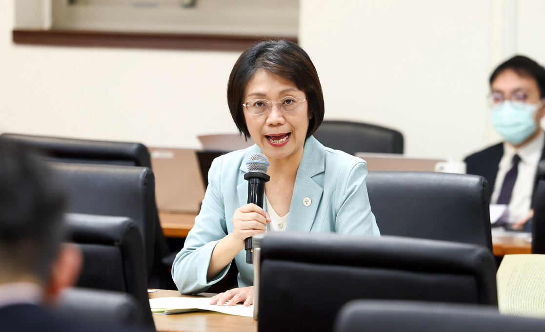翁曉玲堅持修憲法訴訟法 民進黨立委痛批恐癱瘓司法機關