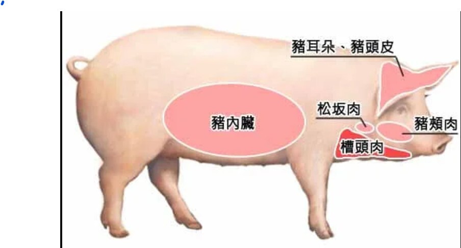 槽頭肉你吃過嗎? 頭擺生活艱苦 只要能吃 絕不放過