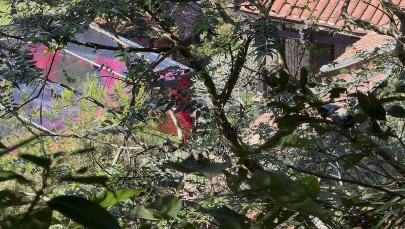 薄瓜瓜婚宴竹縣南園中午舉行 全程不對外開放