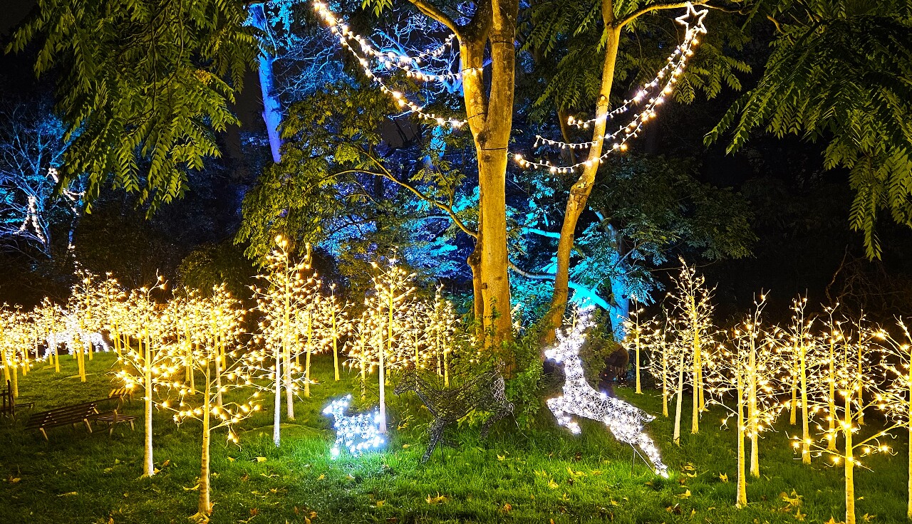 皇家植物園裘園聖誕燈光秀 設計創意驚艷英倫