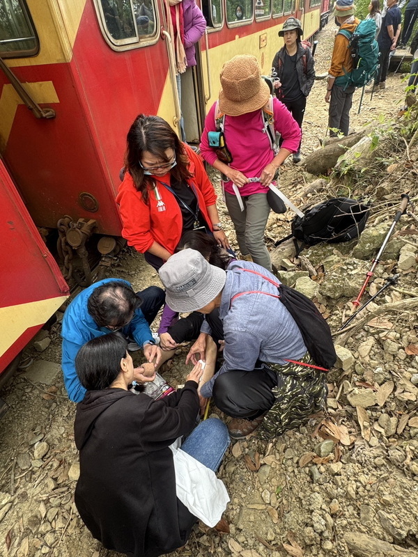 旅行社違法帶團走林鐵遊客遭撞傷 將依法懲處