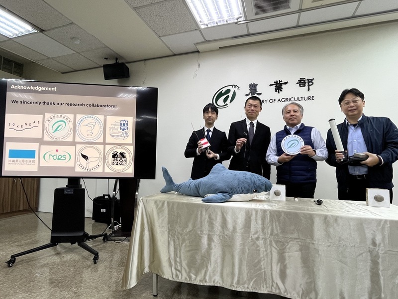 台日合作探索灰鯖鮫 擁有發達肌肉體溫維持度高