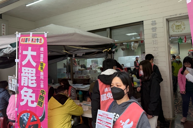 罷免19藍委與高虹安提議審核通過 另9案需補件