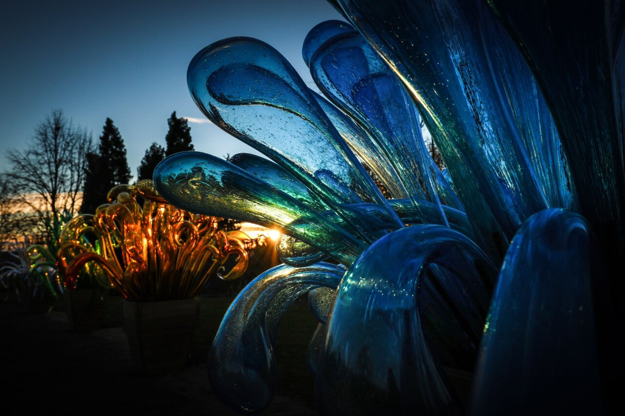 捷克植物園冬景蕭條 打造玻璃夜光秀吸引觀光客