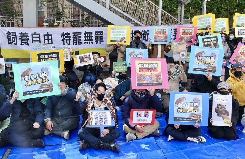955物種擬禁入禁養 寵物團體上街捍衛權益