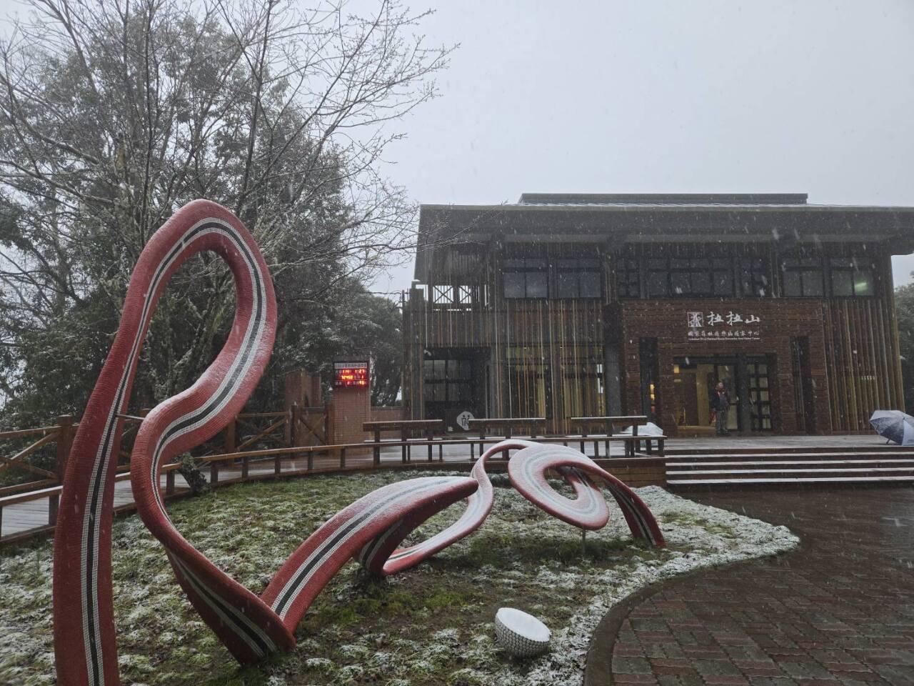 童話般雪白美景迎新年 玉山北峰、拉拉山飄雪