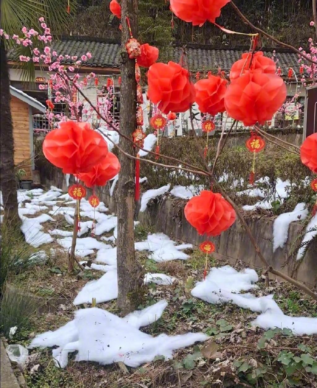 成都雪村鋪棉花造假 遭揭發後急停業致歉