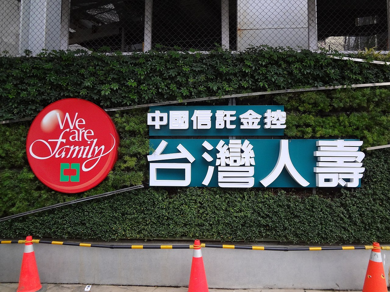 近1年保險最大裁罰案 台灣人壽理賠人員詐保遭罰720萬