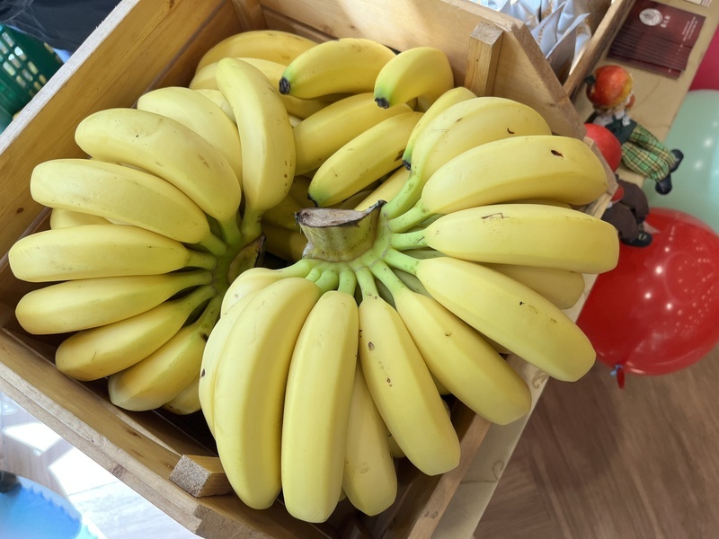 立委喊「蕉貴 」   農業部：復耕並研發矮性品種抵強風