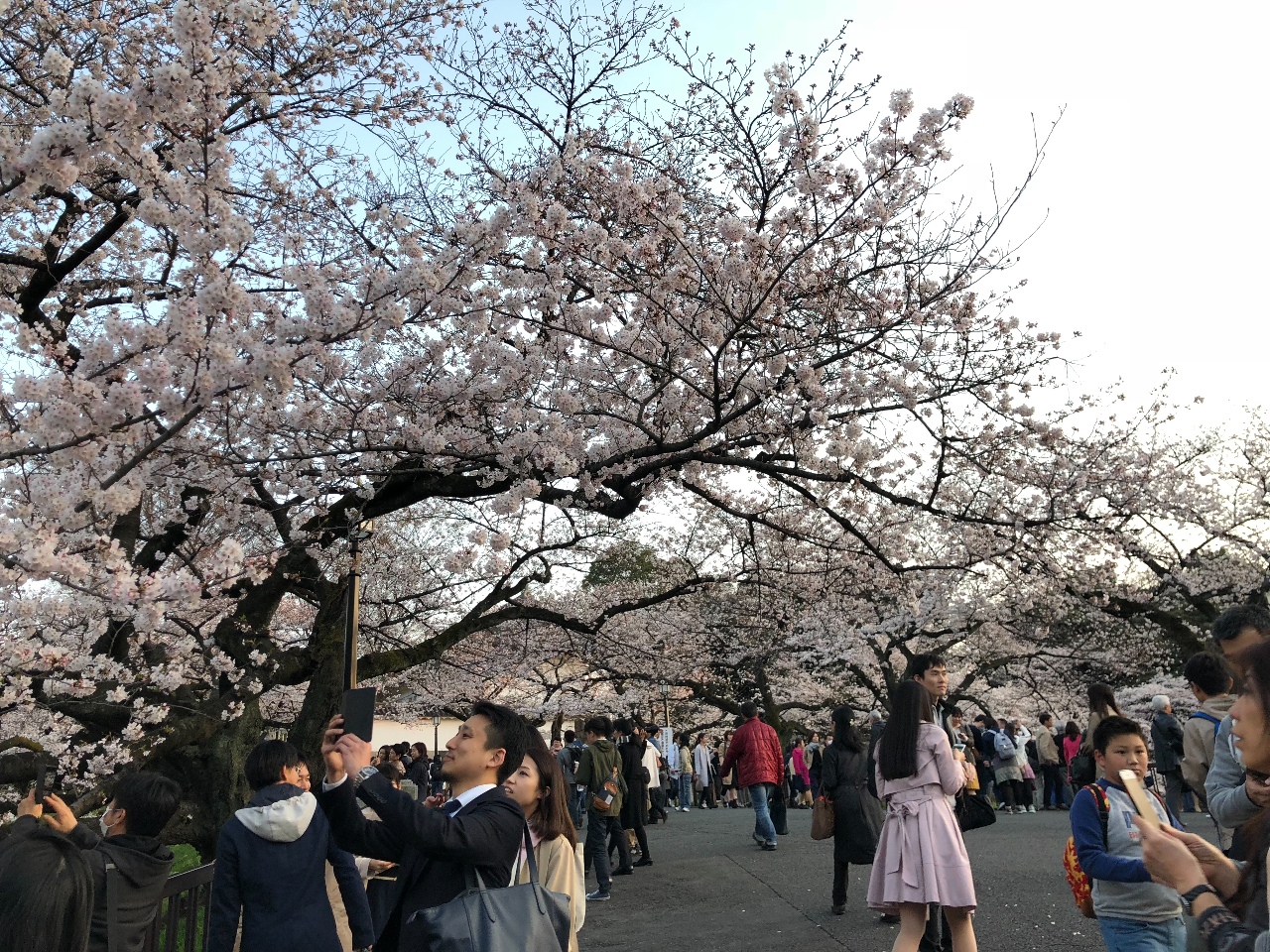 日本擬調漲國際觀光旅客稅 可能3000或5000日圓