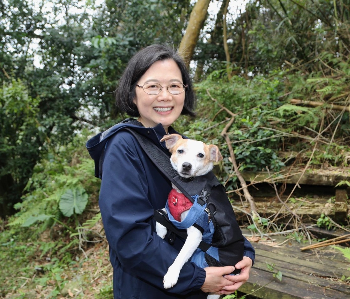 攜愛犬探訪「樟之細路」 蔡英文：樂樂「走到懷疑狗生」