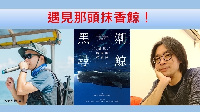 遇見那頭抹香鯨！