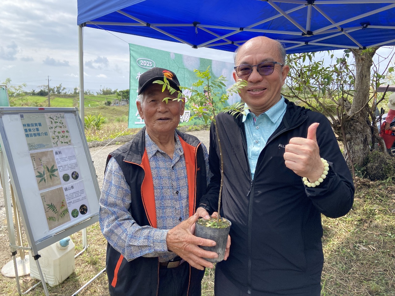 把阿美族傳統酒麴植物種回來！台東都歷復育黃荊及過山香