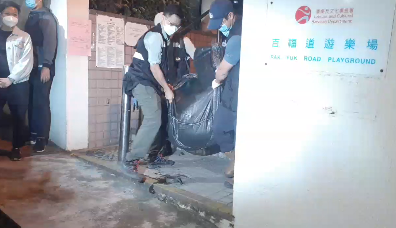 香港野豬們何去何從？(下)