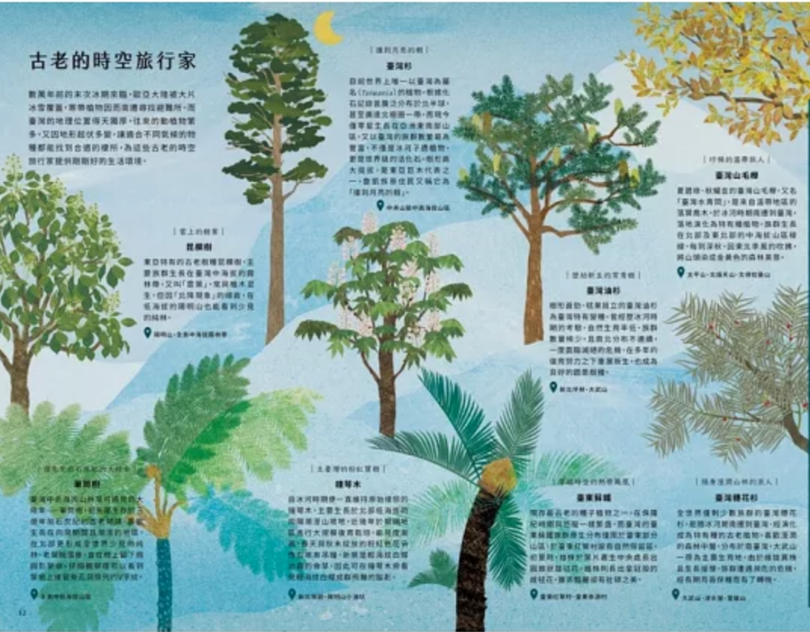 不可思議的森之島