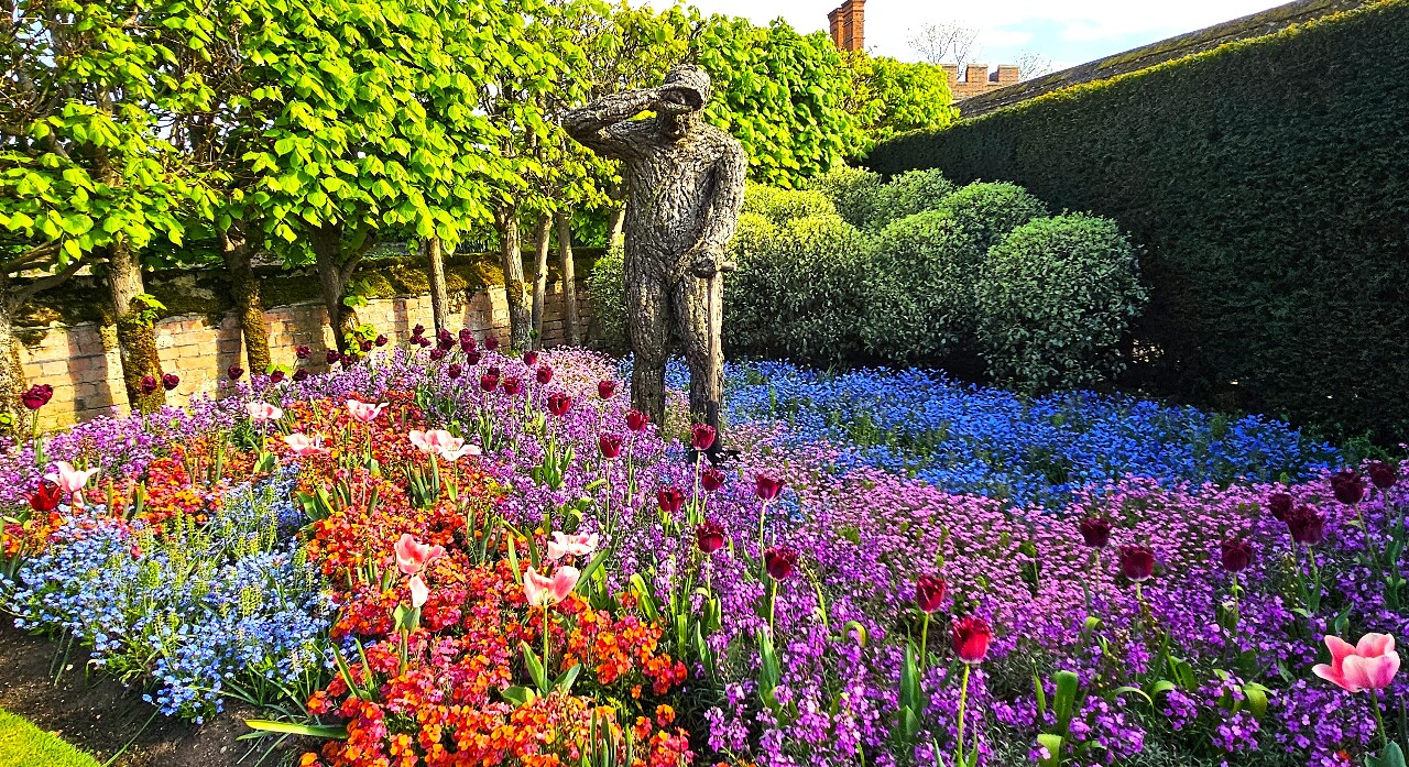 漢普敦王宮花展 逾10萬朵鬱金香綻放 盛況全英之冠