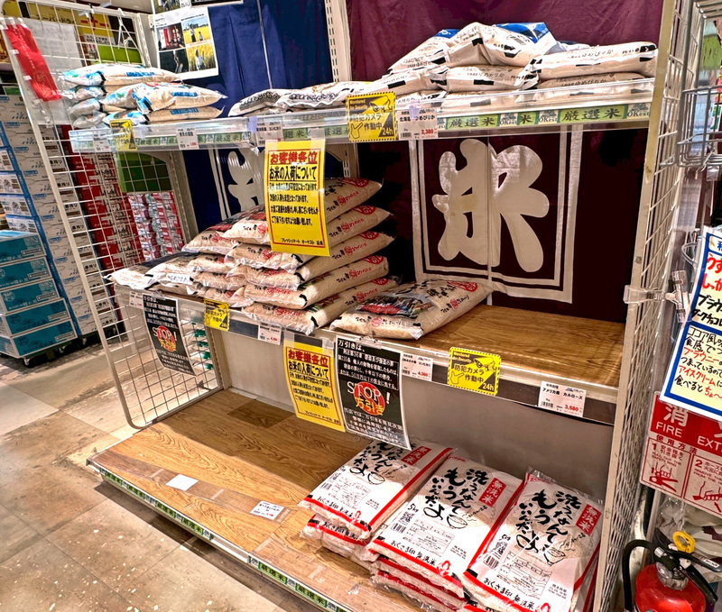 首要任務降米價 小泉進次郎國會舌戰3大在野黨魁
