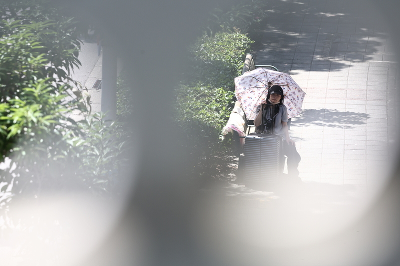 多雲到晴高溫悶熱 留意午後雷陣雨