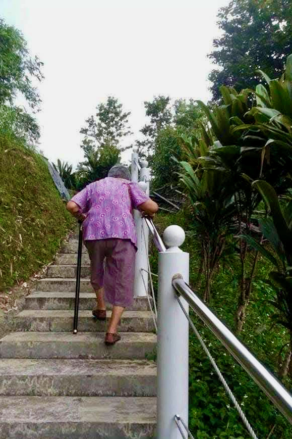 桂花若開