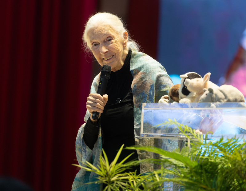 91歲珍古德來台傳遞希望：再小的行動，大家一起就能改變世界